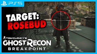 Ghost Recon Breakpoint  Snipestream  BossJagd auf ROSEBUD [upl. by Hagan]