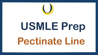 USMLE Prep Pectinate Line [upl. by Zilvia]