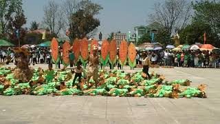 13th ECHAGUE BACAO FESTIVAL 2nd Place 2015 Ugad Region Echague East District Echague Isabela [upl. by Irovi]