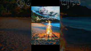 Surah Tu baqara recitation of start beautifull voice telawt Quran majeed surhaTUbaqaraby Hafiz Umar [upl. by Eneryt36]