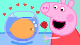 ❤️ Peppa Loves Goldies the Fish  Valentines Special  Peppa Pig Official Family Kids Cartoon [upl. by Templia]