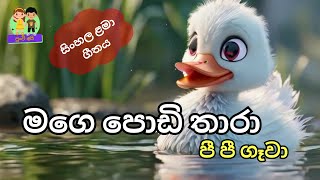 Mage Podi Thara l මගෙ පොඩි තාරා l සිංහල ළමා ගීත l Lama Gee l Sinhala Kids Songs l Punchi Api [upl. by Ignacio]