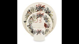 Reviews of Winter Dinnerware Set  Top Winter Dinnerware Set [upl. by Nosnevets746]