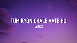 Tum kyu Chale Aate Ho Song Lyrics  bollywood lofi  Lofi Remix [upl. by Edivad]