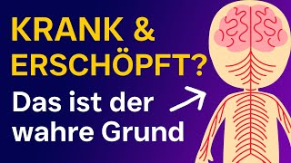 🟣 Polyvagal Theorie Wenn der Körper nicht mehr kann  Chronische Krankheiten Erschöpfung amp Burnout [upl. by Llehctim]