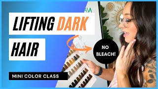 Hair COLOR THEORY mini class HOW TO lift DARK base colors without bleach or brass [upl. by Nalat]