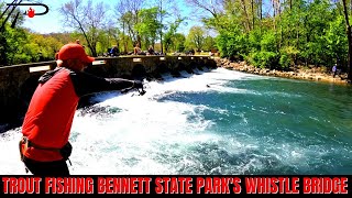 Trout Fishing Bennett Springs State Parks Whistle Bridge [upl. by Noir]