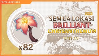 SEMUA LOKASI BRILLIANT CHRYSANTHEMUM GENSHIN IMPACT  LOCATIONS amp FARMING ROUTE XILONEN MATERIAL [upl. by Lorens]