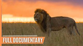 Lions Leopards Hyenas  Masters of the African Night  Full Wildlife Documentary [upl. by Imre]