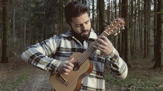 Scar Tissue Red Hot Chili Peppers on Guitarlele  Luca Stricagnoli [upl. by Retluoc597]