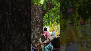 Last DayWater Festival siemreap waterfestival foryou worldheritagesite amazing [upl. by Luby]