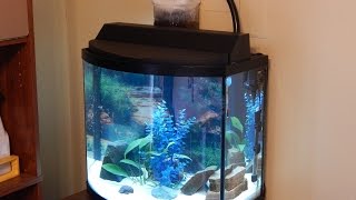 Fish tank update16 gal bowfrontcichlids [upl. by Wylen]