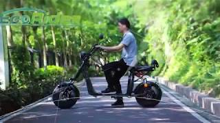 EEC Approved New 1500W 20Ah 60V Electric Scooter Citycoco Factory Supply [upl. by Esdnyl531]