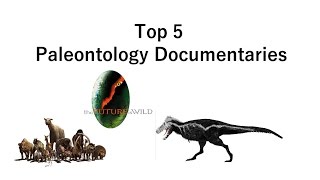 My Top 5 Favorite Paleontology Documentaries [upl. by Enomis808]