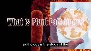 Plant Pathology and its economic importance [upl. by Herahab]