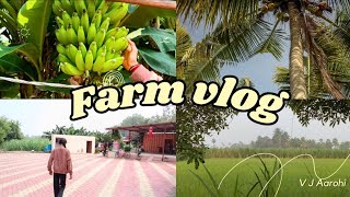 Home Tour  Farmhouse Tour  Farm Vlog  V J Aarohi [upl. by Marline]