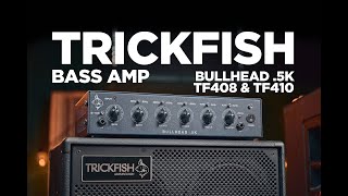 Trickfish Bass Amp Review [upl. by Dnomasor451]