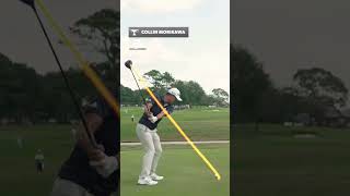 Major Champ Collin Morikawa Awesome Swing Motion amp Slow Motion 2024 [upl. by Hillard78]