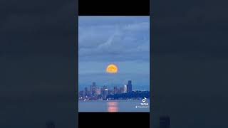 Full Hunters Moon over Seattle 101724 [upl. by Ahsemit]