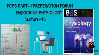 mineralocorticoid secreations and function  BRS PHYSIOLOGY LECTURE [upl. by Damaris63]