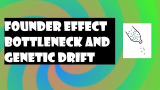 Founder Effect Bottleneck and Genetic Drift [upl. by Notreve]