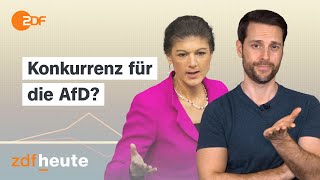 Wagenknecht vs AfD Was wirklich im BSWProgramm steht  Politbarometer2go [upl. by Nueormahc]