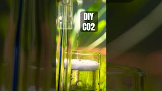 Cheap diy co2 system for planted aquarium [upl. by Ellehsal]