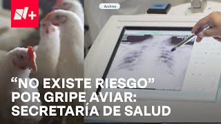 ¿Qué síntomas presentó el hombre que murió por gripe aviar H5N2  En Punto [upl. by Rimidalb940]