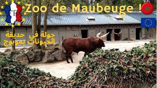 Visite complete du Zoo de Maubeuge fr [upl. by Quenby]