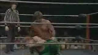 Magnificent Don Muraco vs Terry Gunn [upl. by Nell836]