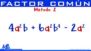 Factorización por factor común  Método 2 [upl. by Englis]