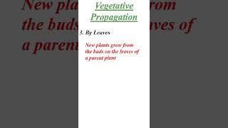 Plants reproduction  Vegetative Propogation shorts plants [upl. by Bacchus]