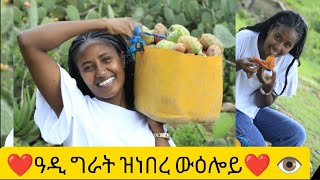 ዋይ በለስ ዓዲ ግራት ዝነበረኒ ውዕሎ [upl. by Amlus74]