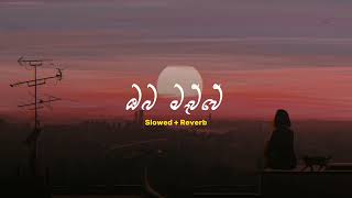 Oba Mawwe  ඔබ මැව්වේ  Slowed  Reverb  PASIYA vibes [upl. by Paapanen]