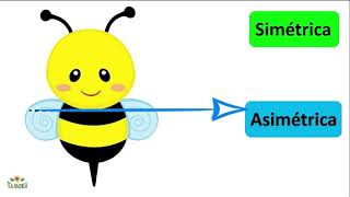 Simetría y Asimetría para preescolar 1 [upl. by Durante]