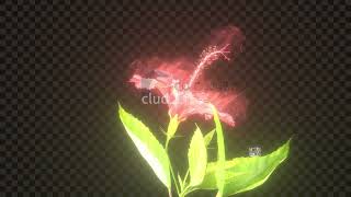 Houdini Magic Particle Flower File hip [upl. by Iliram]