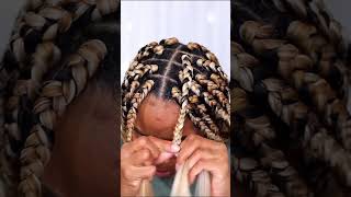 LARGE BOX BRAIDS  PERFECT GRIP  BEGINNERS FRIENDLY [upl. by Gaul]