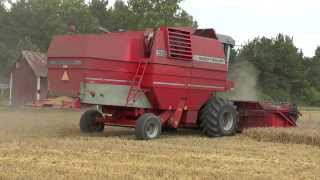 Harvest 2013 Barley with a Massey Ferguson 32 [upl. by Nosreme223]