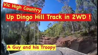 Licola Trip Day 3 … Up Dingo Hill Track in 2WD [upl. by Fabrin332]