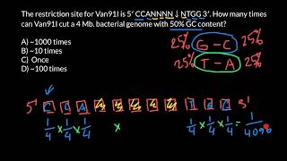 How many times restriction enzyme can cut bacterial genome [upl. by Thorstein]