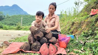 Cutting bamboo to make bowl shelves  Harvesting wild tubers to sell Buy a rug and a pillow [upl. by Bohner]