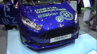 Ford Fiesta ST 16 ECOBoost [upl. by Beckie]