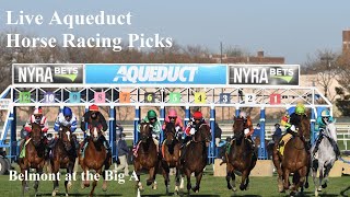 Live Aqueduct Horse Racing Picks  Belmont at the Big A [upl. by Monjan]