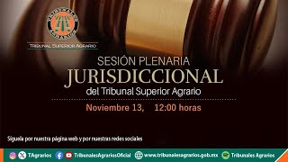 13 1124  Sesión Plenaria Jurisdiccional [upl. by Arised]