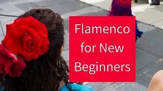 Flamenco Dance Basics  Learning the Fundamentals for New Beginners [upl. by Stilwell]