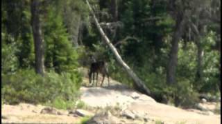 Wabakimi Canoe Trip Video 1 of 4 [upl. by Dorolisa483]