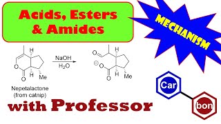 Lactone hydrolysis reaction nepetalactone mechanisms Organic Chemistry Help Tutorial [upl. by Brottman878]