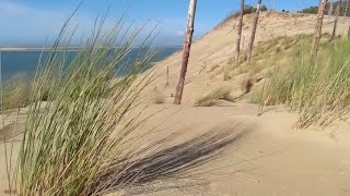 Les dunes de la plage du Petit Nice [upl. by Champagne]