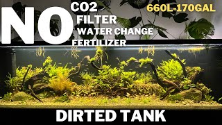 Aquascape Tutorial How To Make A Natural Planted Dirted Tank  Low Tech Tank  Ecosystem Aquarium [upl. by Urania511]