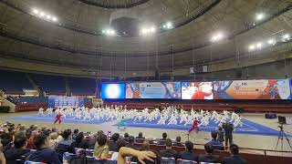 HYX 16th World Wushu Championships Opening Ceremony  集体24式太极拳 [upl. by Mace750]